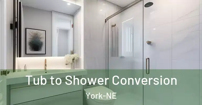inner Bathroom imggen Tub to Shower Conversion York-NE