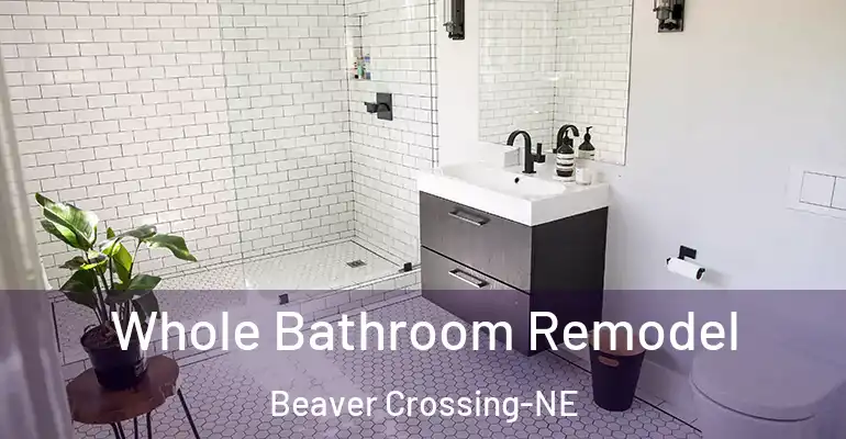 inner Bathroom imggen Whole Bathroom Remodel Beaver Crossing-NE