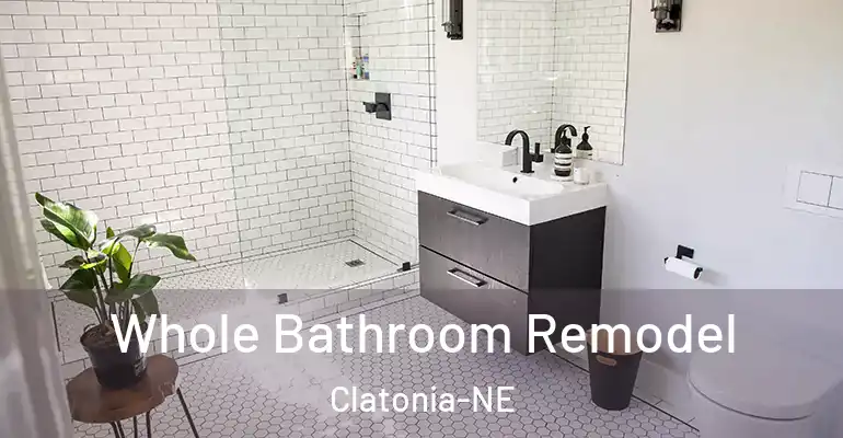 inner Bathroom imggen Whole Bathroom Remodel Clatonia-NE