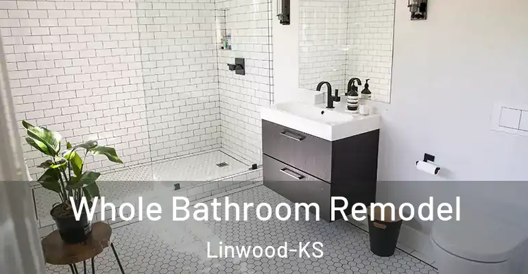 inner Bathroom imggen Whole Bathroom Remodel Linwood-KS