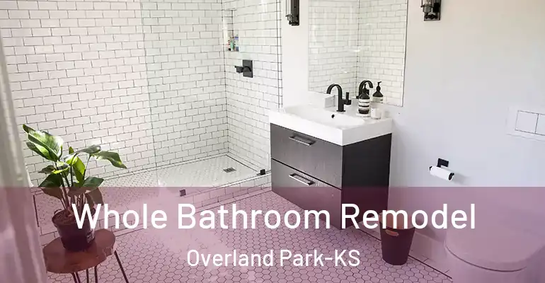 inner Bathroom imggen Whole Bathroom Remodel Overland Park-KS