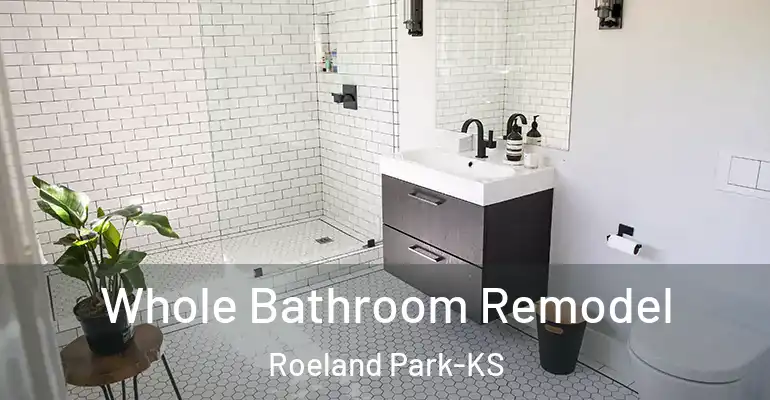 inner Bathroom imggen Whole Bathroom Remodel Roeland Park-KS
