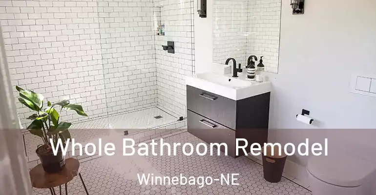 inner Bathroom imggen Whole Bathroom Remodel Winnebago-NE